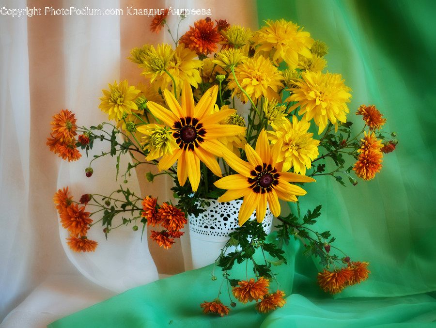 Flora, Jar, Plant, Potted Plant, Pottery