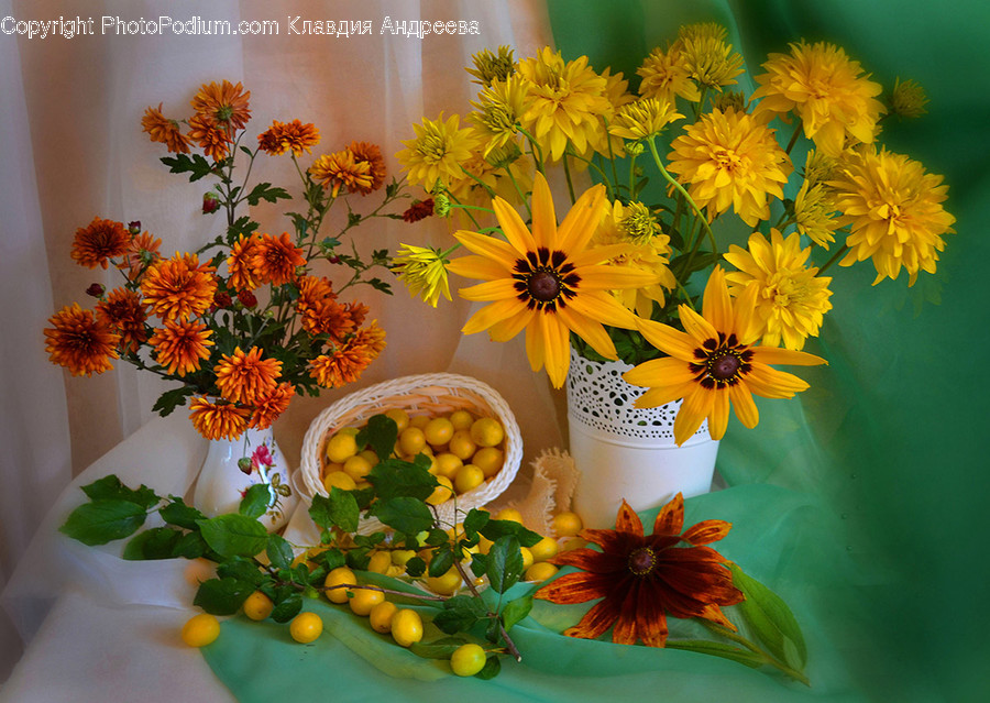Blossom, Flora, Flower, Flower Arrangement, Ornament