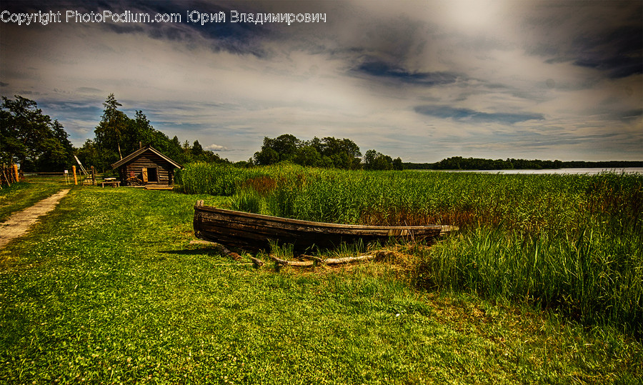 Field, Grassland, Outdoors, Countryside, Farm