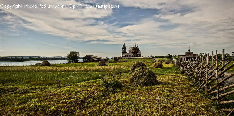 Flora, Grass, Plant, Landscape, Nature