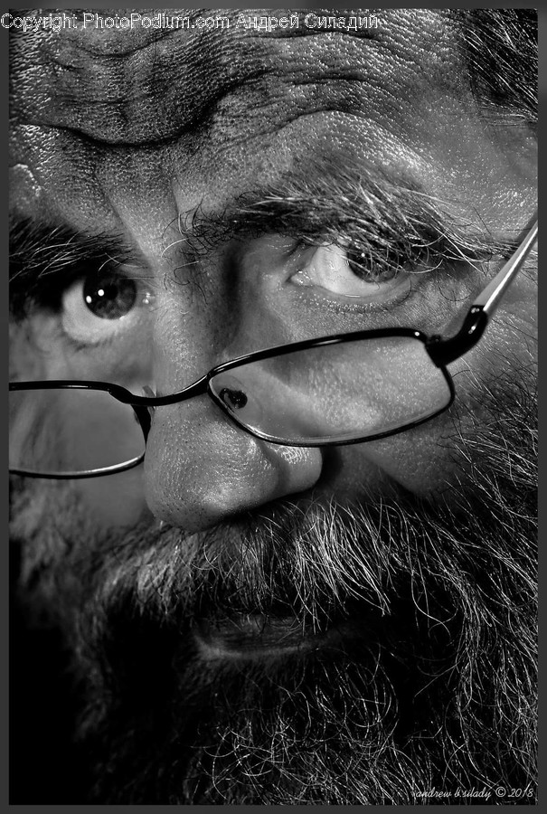 Face, Human, Person, Portrait