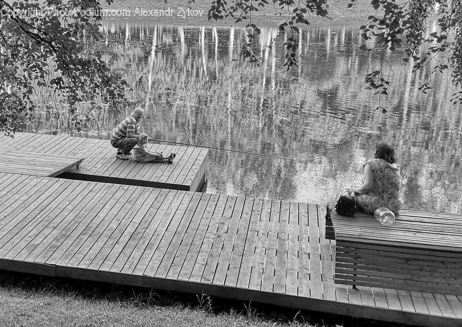 Human, People, Person, Bench