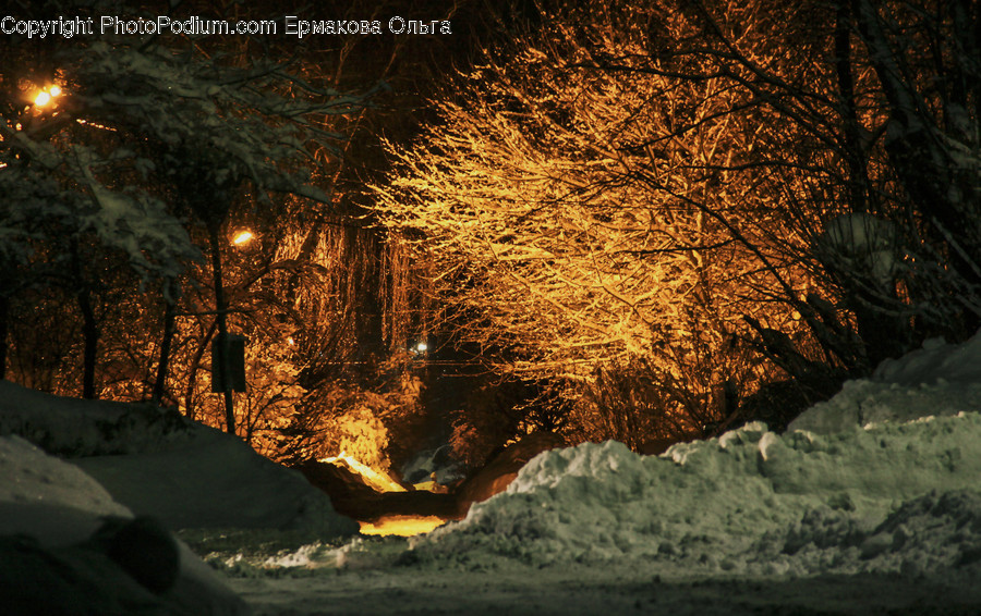 Night, Outdoors, Cave, Nature, Flora