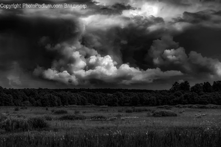 Cloud, Cumulus, Nature, Outdoors, Sky