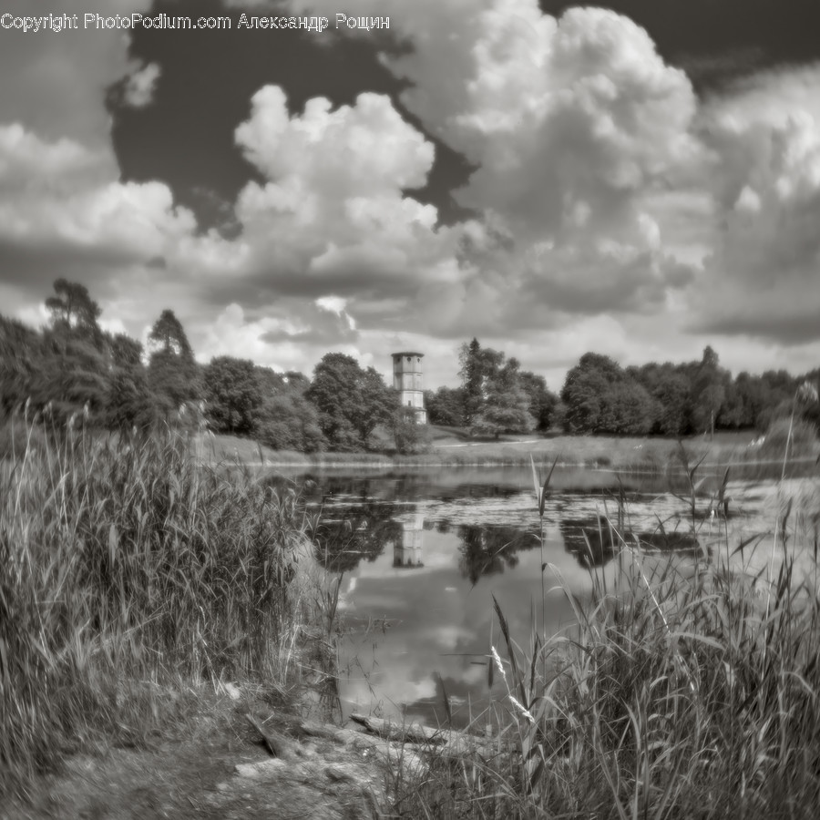 Land, Marsh, Outdoors, Swamp, Water