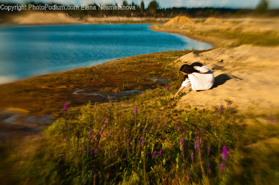 Field, Grassland, Outdoors, Flora, Grass