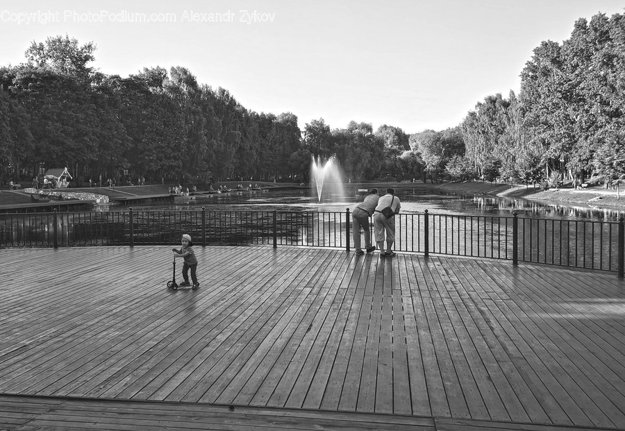 Boardwalk, Bridge, Building, Park, Office Building