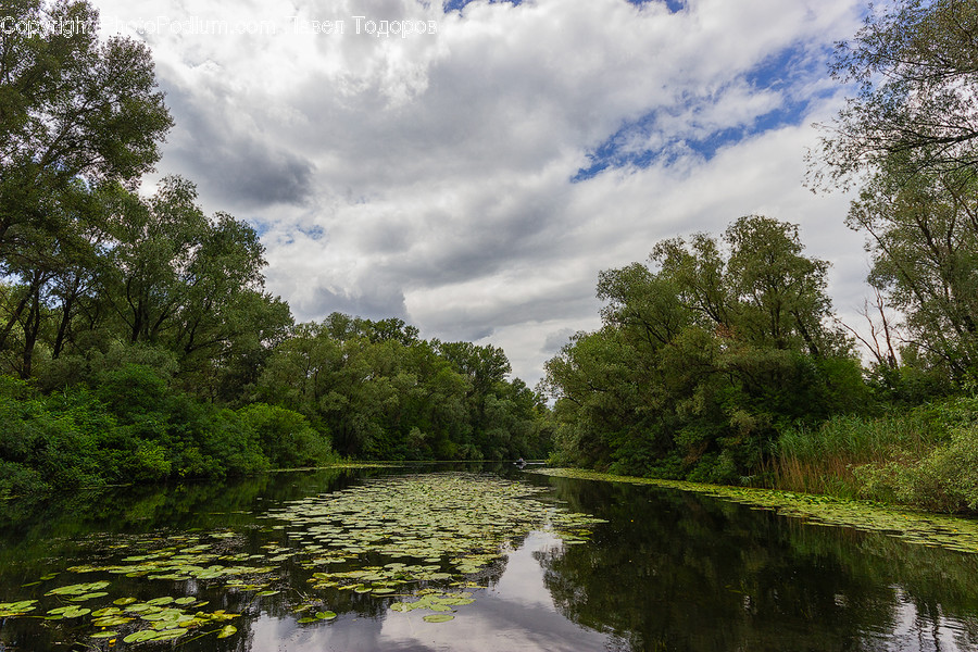 Outdoors, River, Water, Dirt Road, Gravel