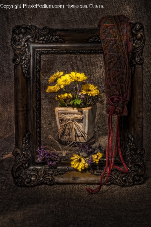 Flora, Jar, Plant, Potted Plant, Pottery