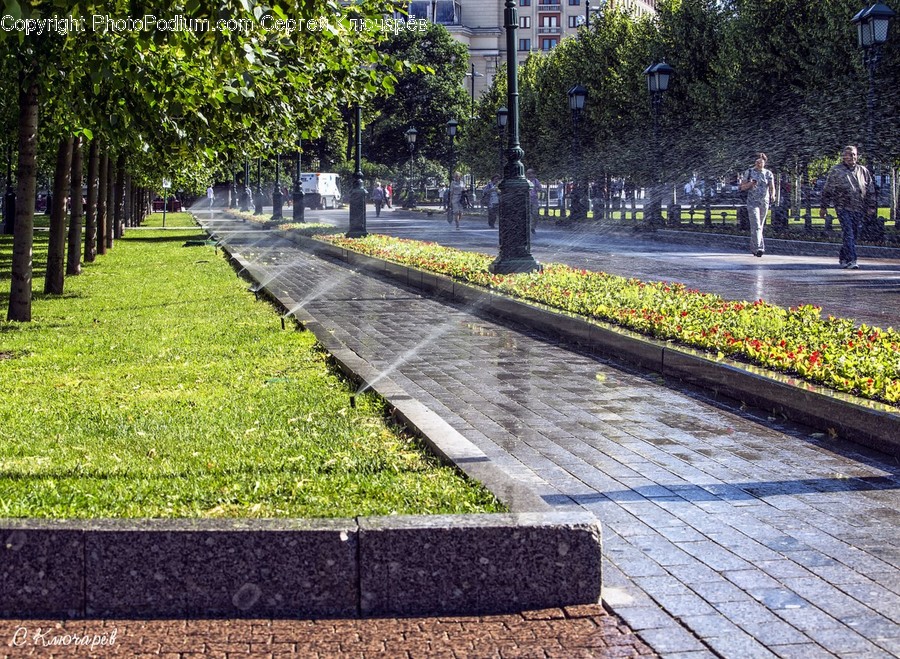 Path, Pavement, Sidewalk, Walkway, Park