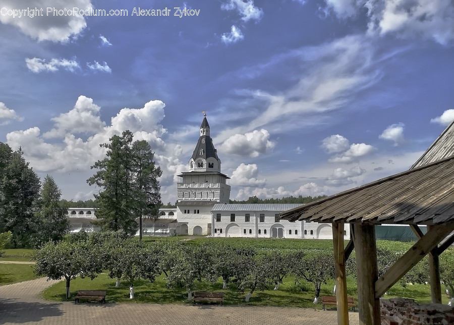 Flora, Plant, Tree, Gazebo, Campus
