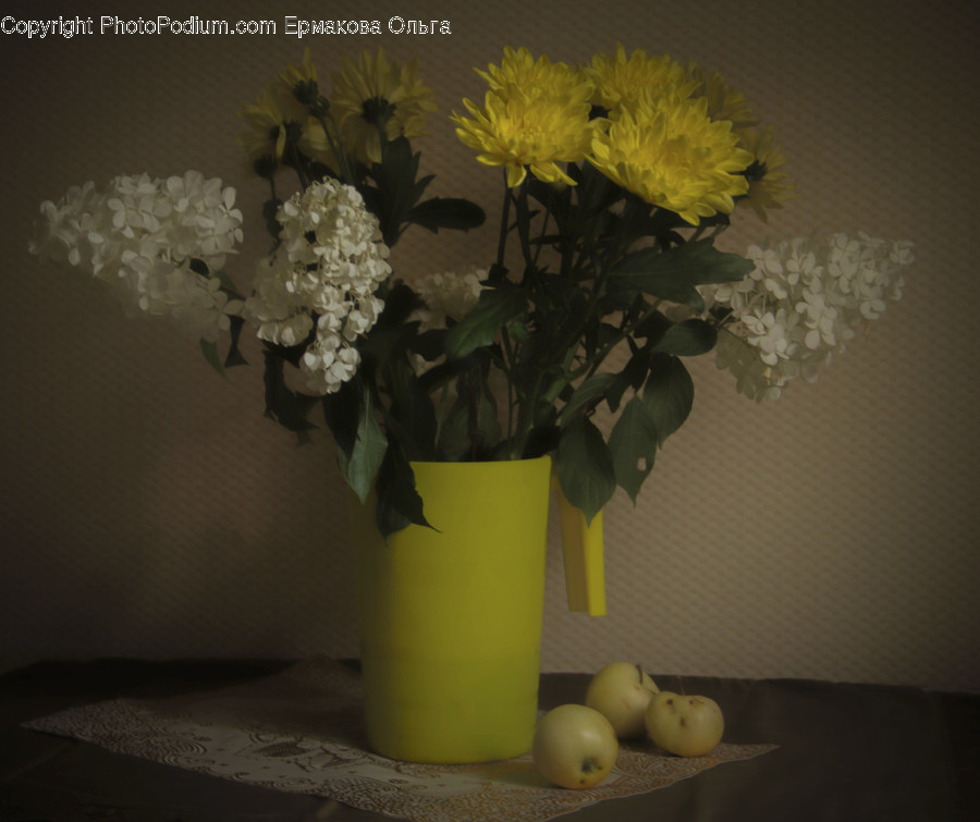 Blossom, Flora, Flower, Flower Arrangement, Flower Bouquet