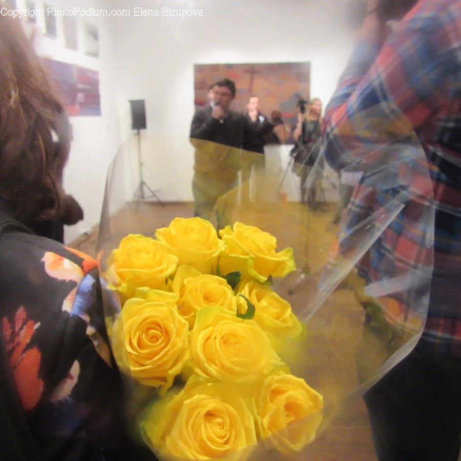 Human, People, Person, Blossom, Flora