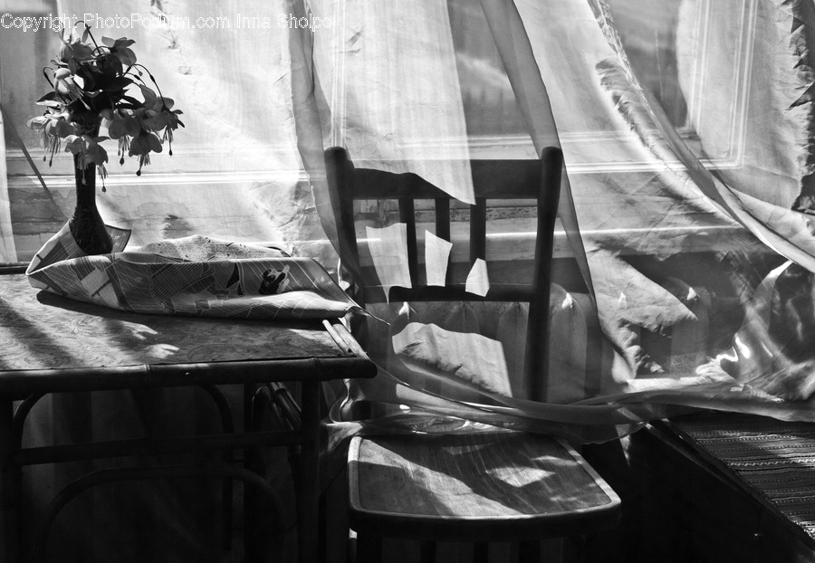 Chair, Furniture, Flora, Jar, Plant