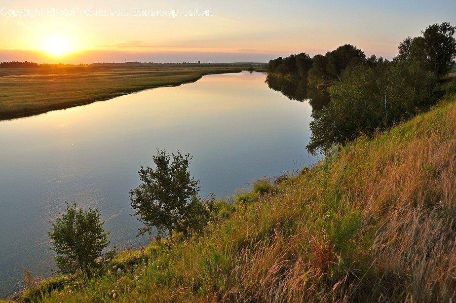 Field, Grassland, Outdoors, Nature, Flora