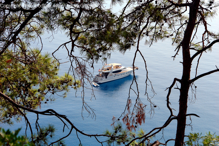 Transportation, Vessel, Watercraft, Yacht, Boat