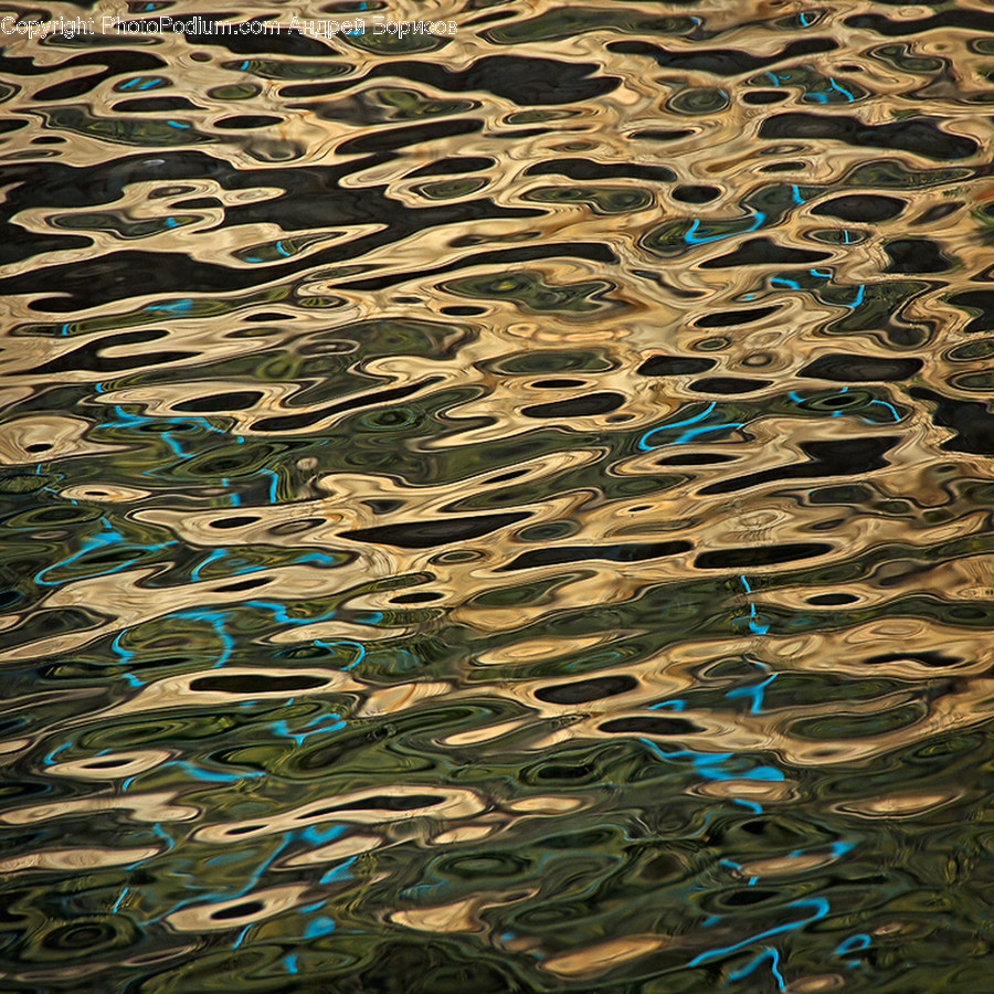 Art, Modern Art, Animal, Fish, Herring