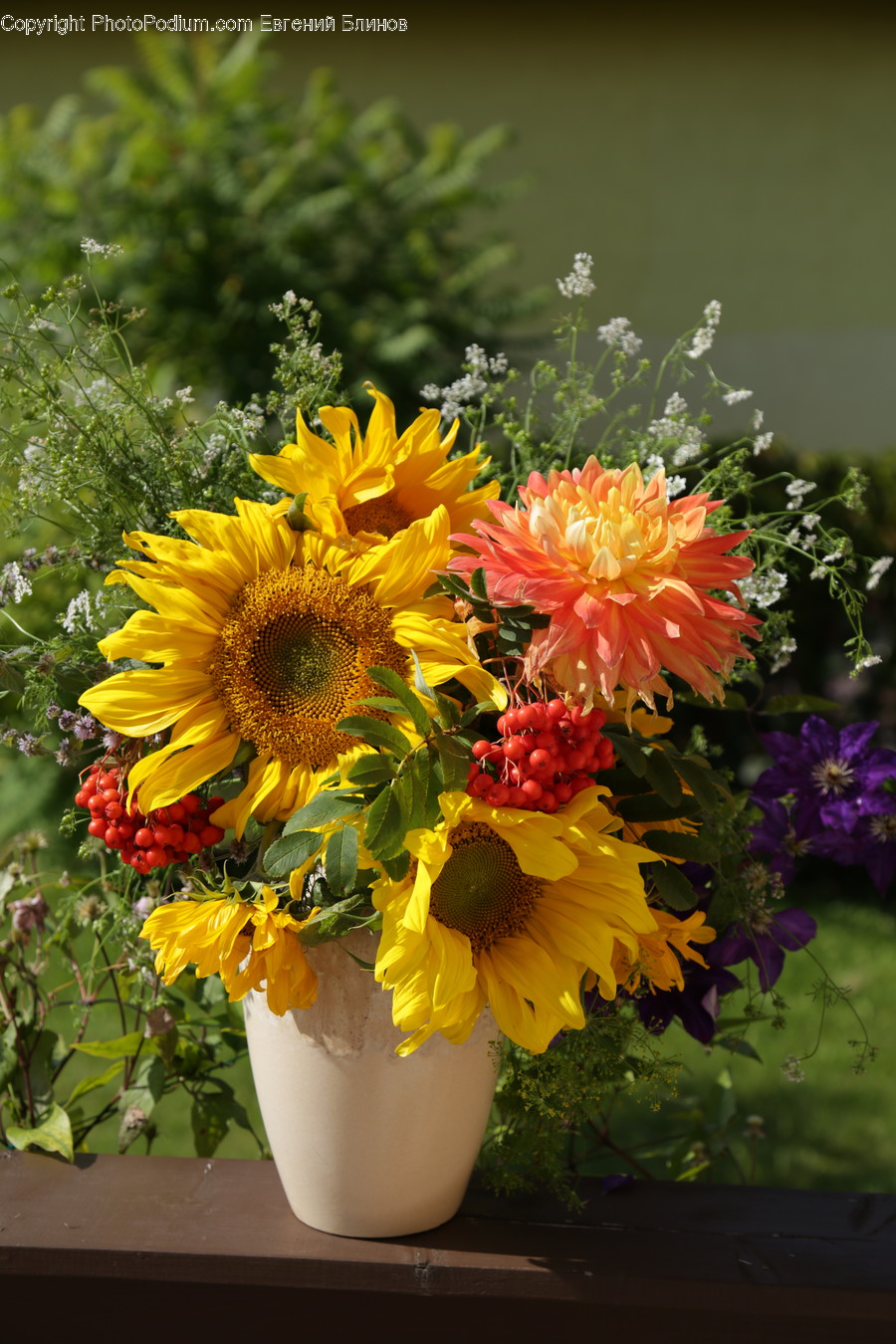 Blossom, Flora, Flower, Flower Arrangement, Ornament