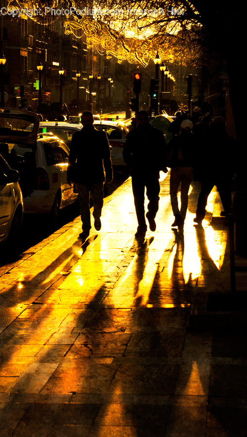 Automobile, Car, Transportation, Vehicle, Silhouette