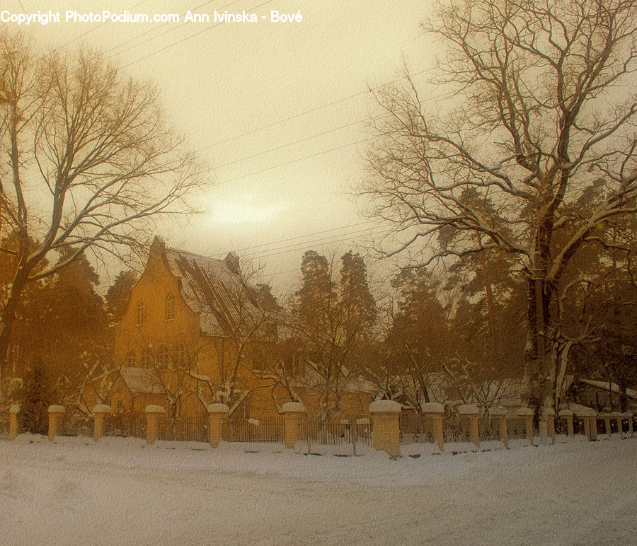 Blizzard, Outdoors, Snow, Weather, Winter, Landscape, Nature