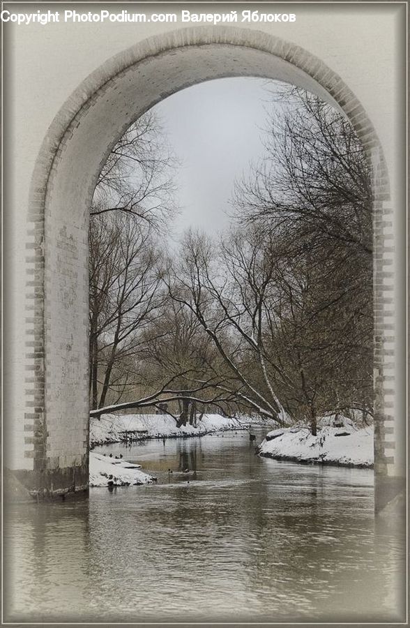 Arch, Architecture, Plant, Tree, Forest, Vegetation