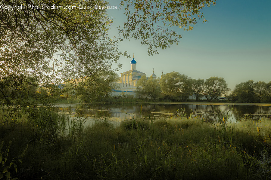 Park, Dawn, Dusk, Nature, Outdoors