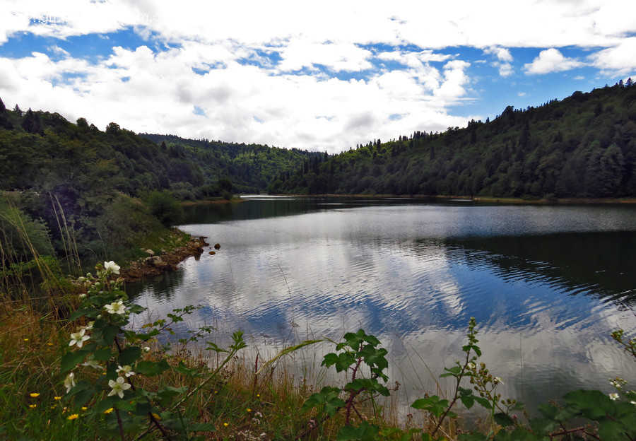 Lake, Outdoors, Water, Flora, Plant