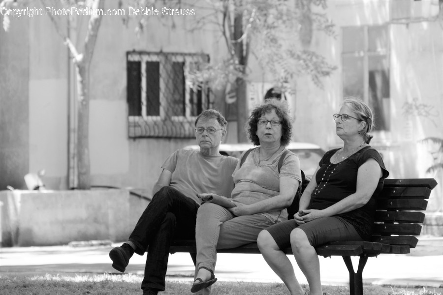 Bench, Human, People, Person, Chair