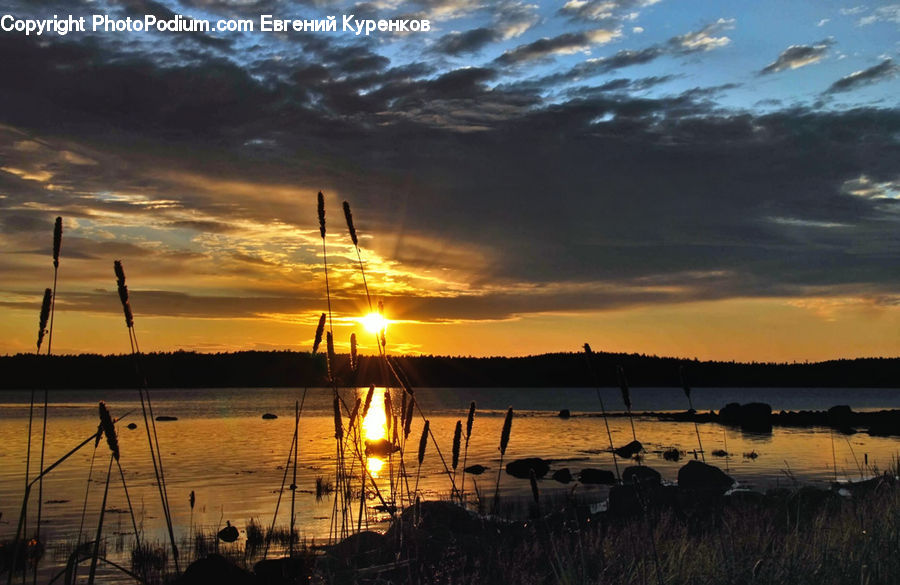 Dusk, Outdoors, Sky, Sunlight, Sunrise, Sunset, Dawn
