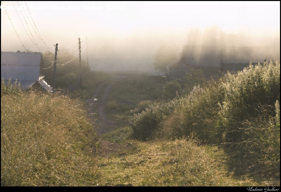 Fog, Mist, Outdoors, Field, Grass, Grassland, Land