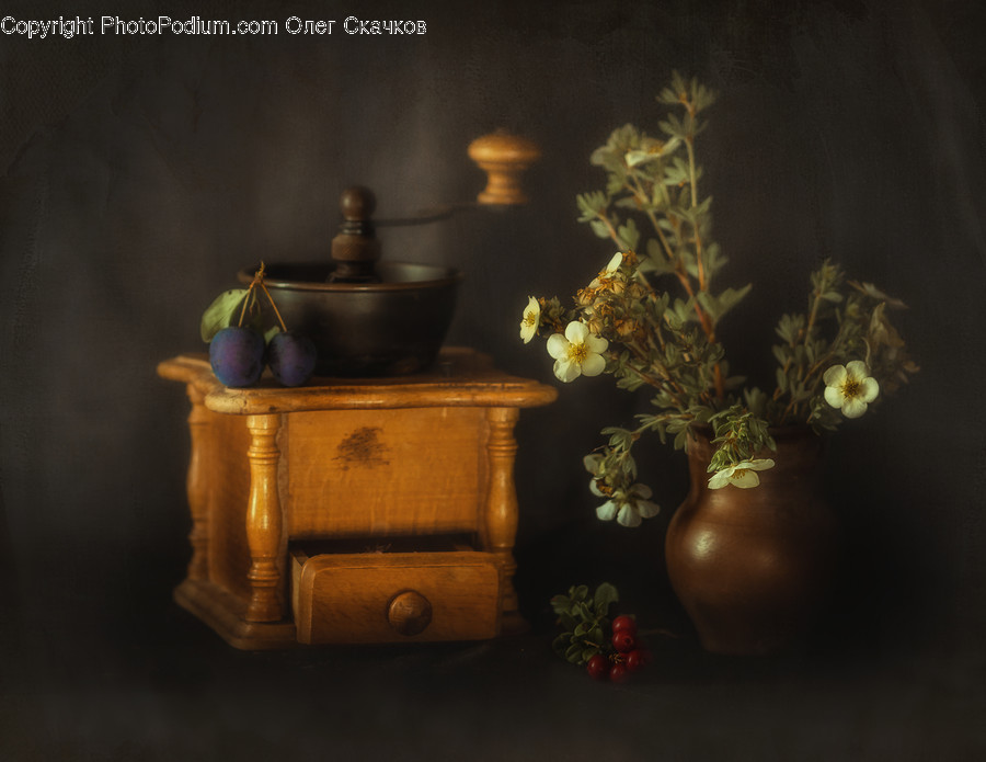 Flora, Food, Fruit, Plant, Plum