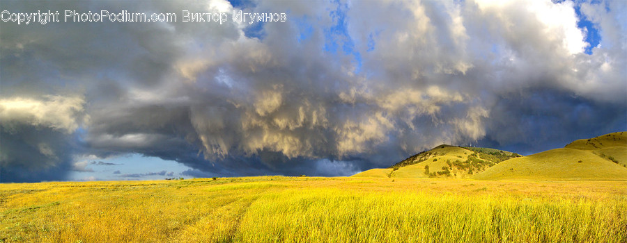 Field, Grassland, Outdoors, Cloud, Nature