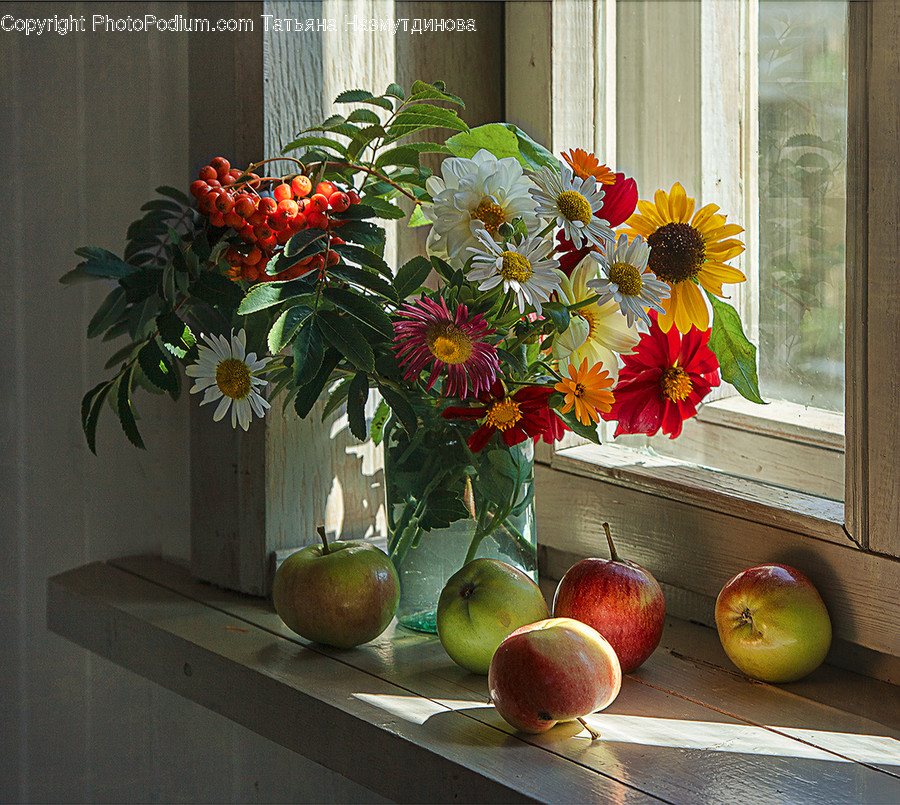 Apple, Flora, Food, Fruit, Plant