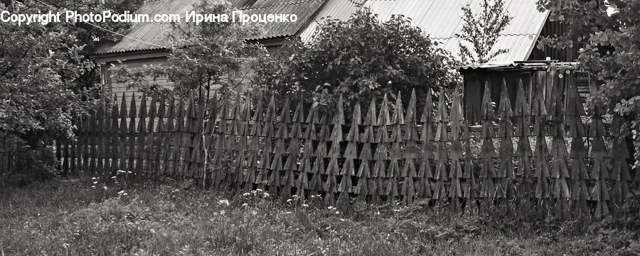 Building, Cottage, Housing, Blossom, Flora, Flower, Plant
