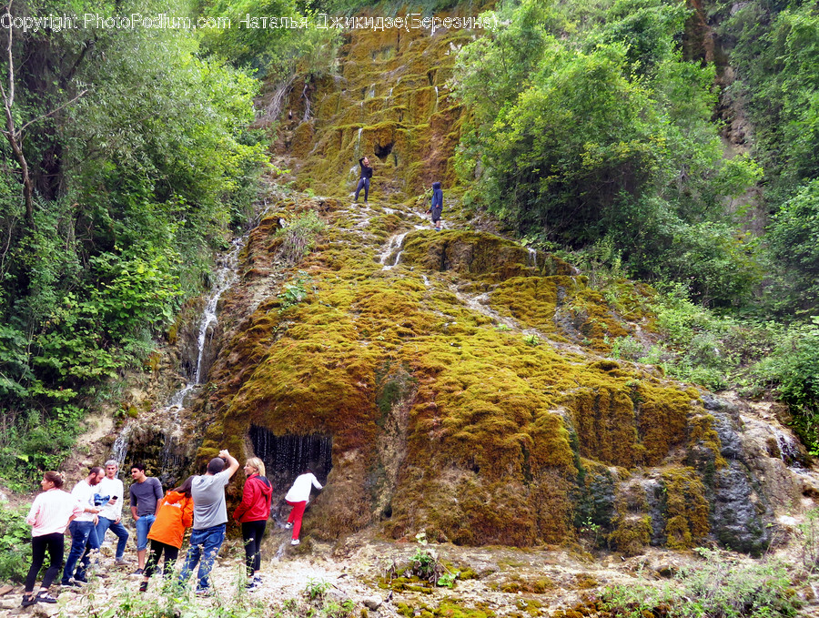 Hiking, Leisure Activities, Outdoors, Camping, Dirt Road