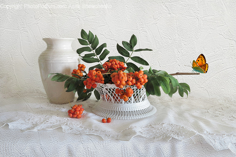 Flora, Jar, Plant, Potted Plant, Pottery