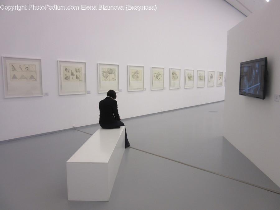 Human, People, Person, Art, Art Gallery