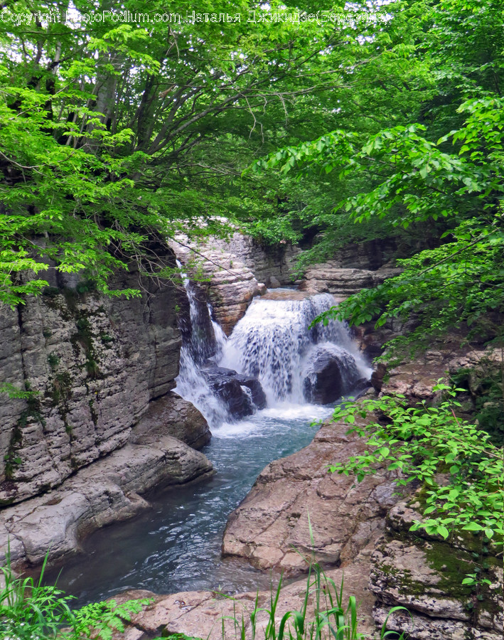 Creek, Outdoors, Stream, Water, River