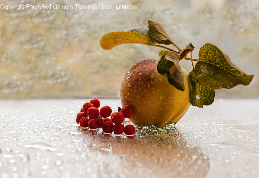 Flora, Food, Fruit, Plant, Produce