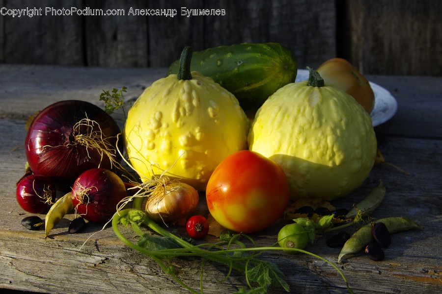 Flora, Food, Plant, Produce, Squash