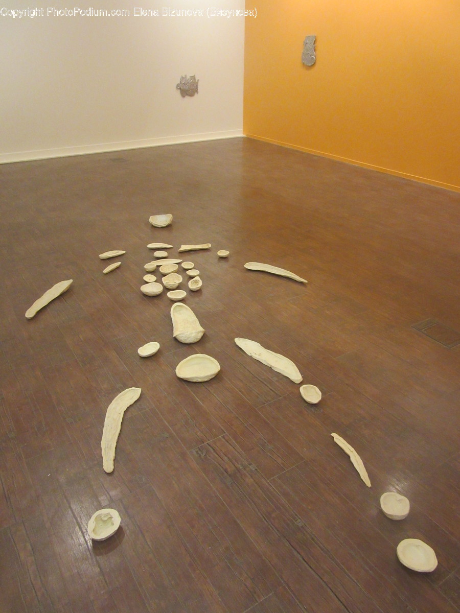 Flooring, Dining Table, Furniture, Table, Coin