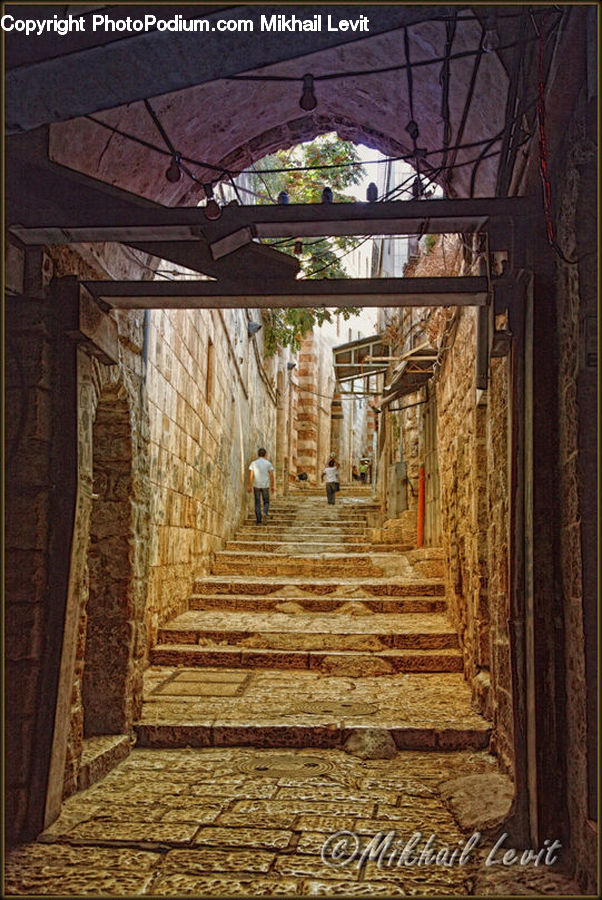 Plant, Potted Plant, Corridor, Patio, Pergola, Porch, Flagstone