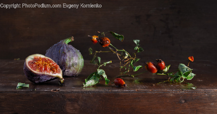 Flora, Ivy, Plant, Soil, Food