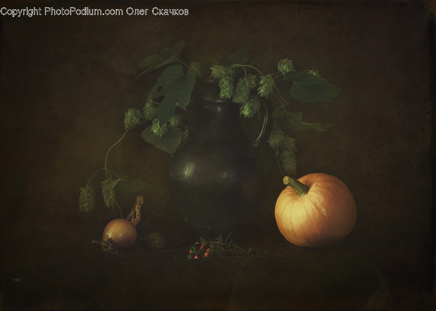 Flora, Jar, Plant, Potted Plant, Pottery
