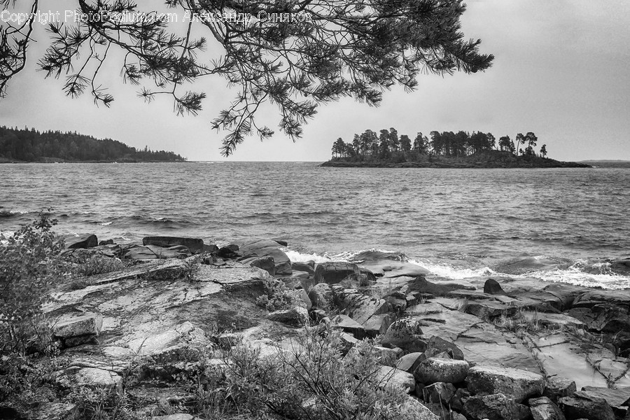 Rock, Coast, Nature, Ocean, Outdoors