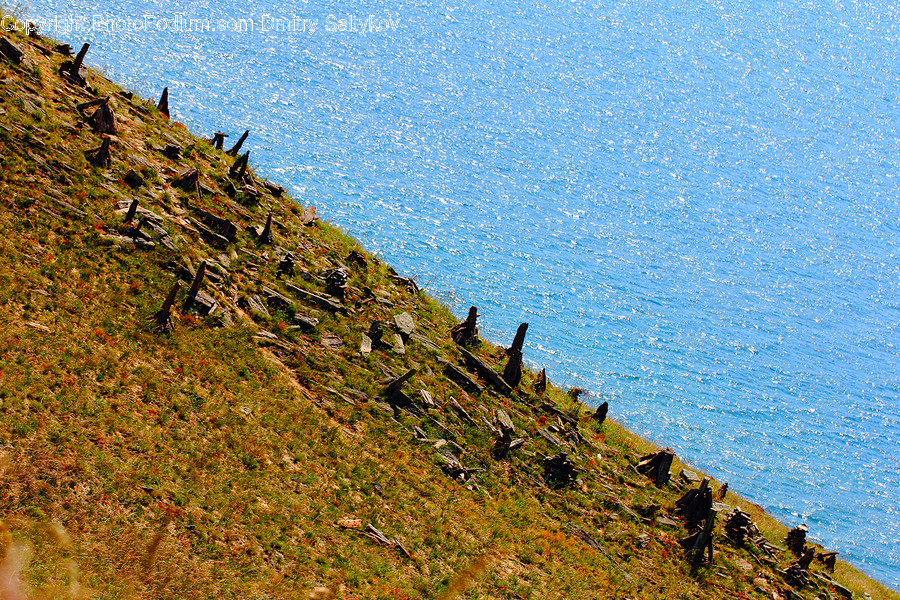 Coast, Nature, Ocean, Outdoors, Sea