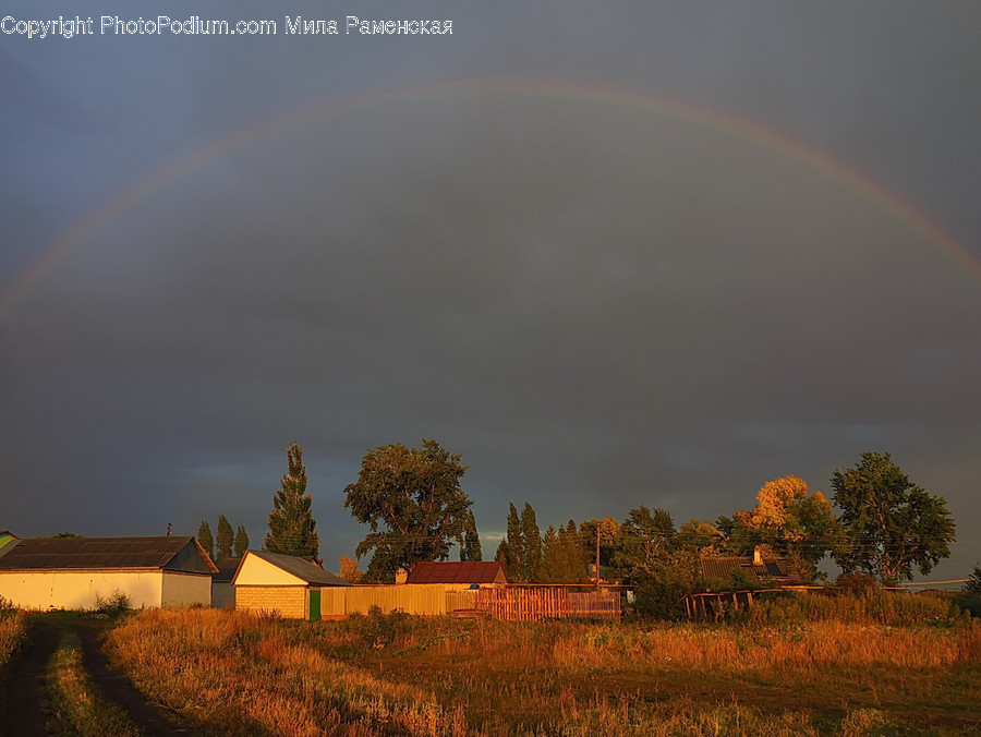Nature, Outdoors, Rainbow, Sky, Flora