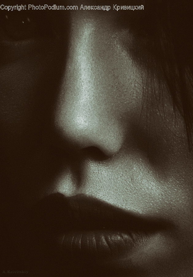Face, Human, Person, Skin, Portrait