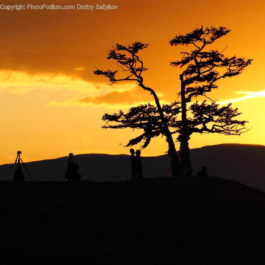 Dawn, Dusk, Nature, Outdoors, Red Sky