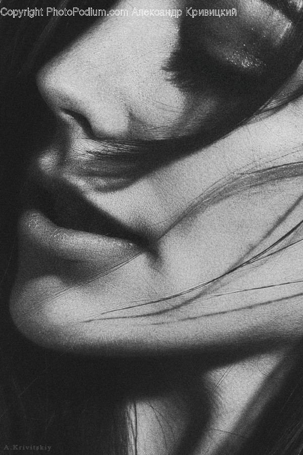 Human, People, Person, Face, Portrait